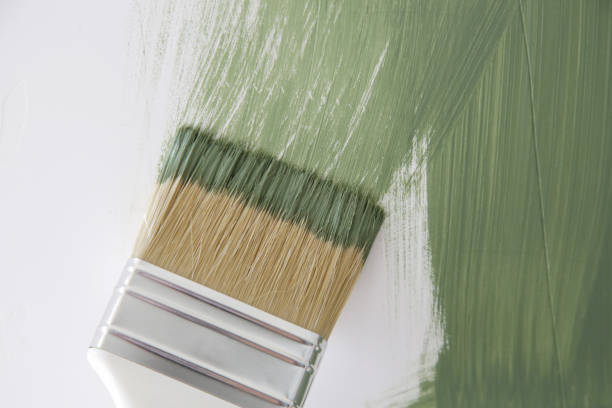 Best Trim and Molding Painting  in Watertown, MN